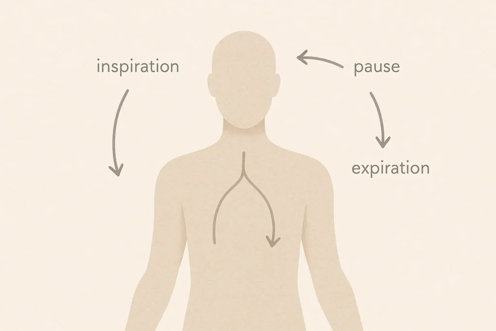 Schéma réaliste et épuré représentant la respiration 4-2-6